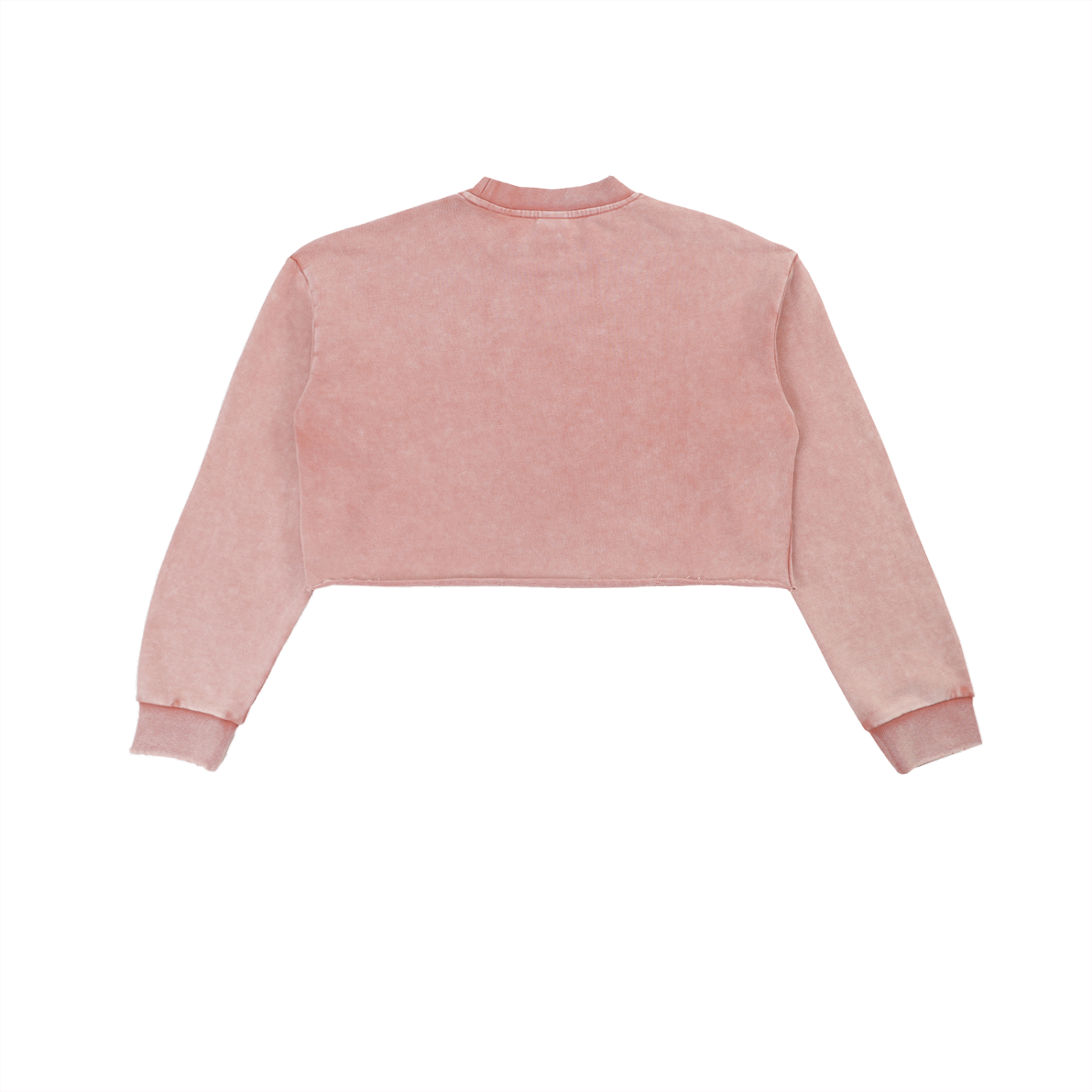 Washed Raw Hoodless - Dripstric.® Edition